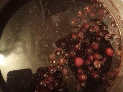 Vasaros kompotas iš raudonųjų serbentų Žingsnis 2