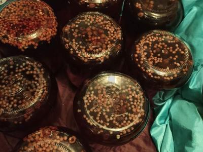 Vasaros kompotas iš raudonųjų serbentų Žingsnis 3