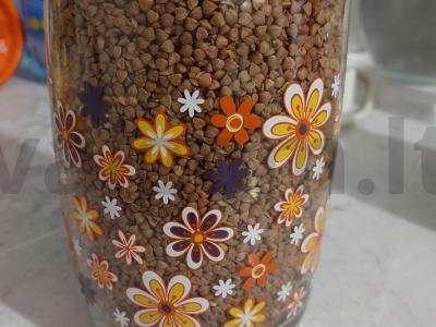 Naudingas grikis Žingsnis 1