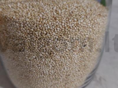 Naudingas grikis Žingsnis 2