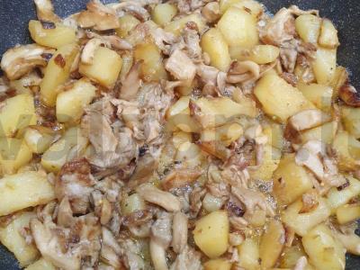 Kepta bulvė su voveraitėmis vakarienei pagrindine nuotrauka