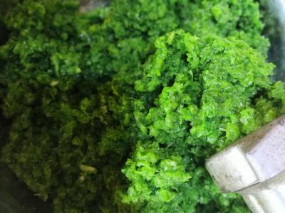 Česnako žiedų ikra Žingsnis 2