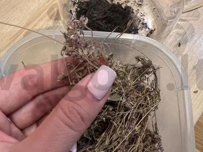 Juodasis arbata su žolelėmis Žingsnis 2