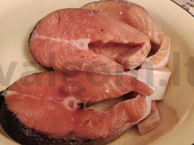 Garinta lašiša Žingsnis 1