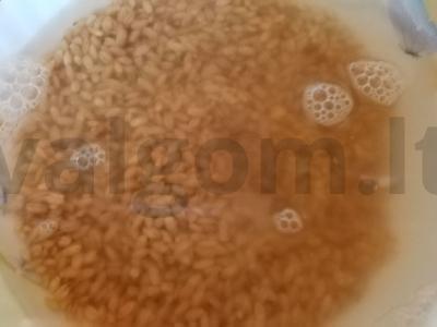 Sriuba su perlinėmis kruopomis ir vištienos kukuliais Žingsnis 1