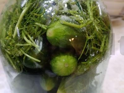 Sūdyti agurkai žiemai pagrindine nuotrauka