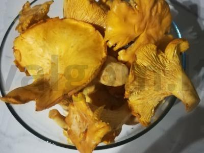 Šalavijas grietinėlės padaže Žingsnis 1