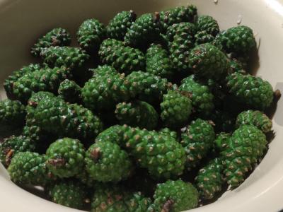 Pušų kankorėžių uogienė Žingsnis 2