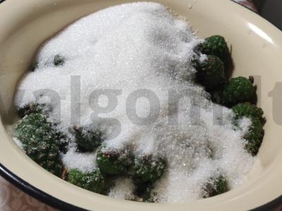 Pušų kankorėžių uogienė Žingsnis 3