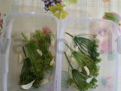 Sūdyti agurkai žiemai Žingsnis 2