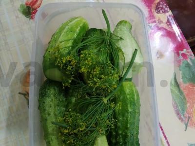 Sūdyti agurkai žiemai Žingsnis 4