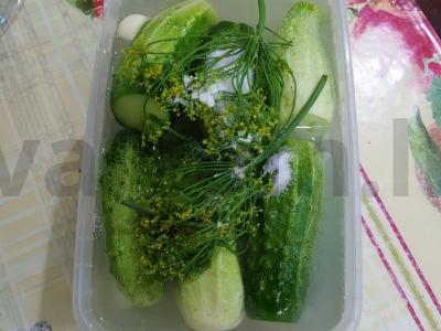 Sūdyti agurkai žiemai pagrindine nuotrauka