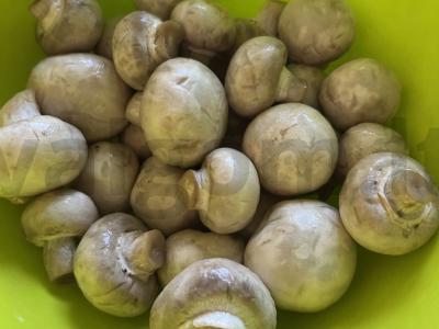 Šampinjonai su prieskoniais Žingsnis 1