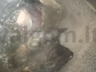 Norvegiška žuvienė Žingsnis 1