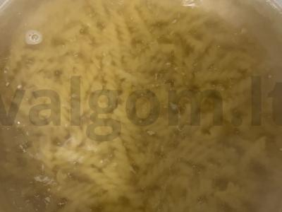 Namų stiliaus makaronai su vištienos krūtinėle ir prieskoniais Žingsnis 1