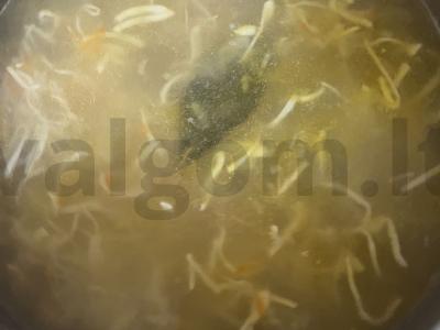 Sriuba „Namų makaronai“ pagrindine nuotrauka