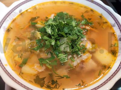 Šviežių kopūstų sriuba pagrindine nuotrauka