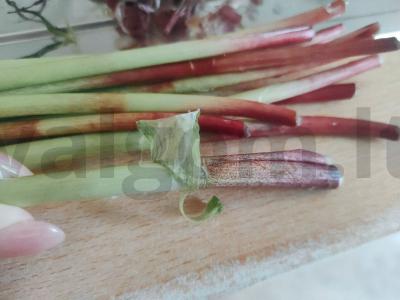 Sibiro užkandis Žingsnis 1