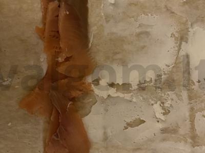 Ritiniai su sūdyta žuvimi Žingsnis 4