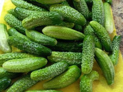 Marinuoti agurkai Žingsnis 1