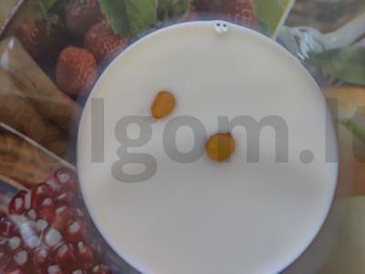 Mėsos pyragėliai „Valtornai“ Žingsnis 2