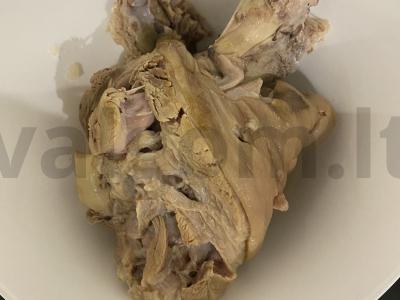 Šaltiena iš kiaulės kojos Žingsnis 4