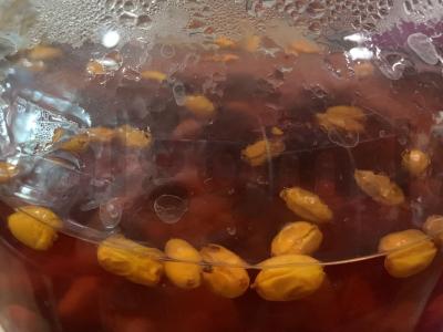 Rudens naudingas arbata Žingsnis 3