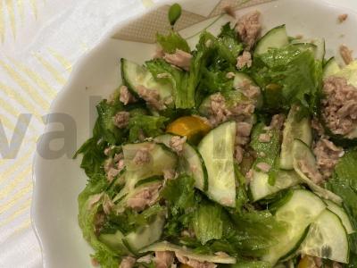 Salotos su tunu ir daržovėmis vakarienei pagrindine nuotrauka