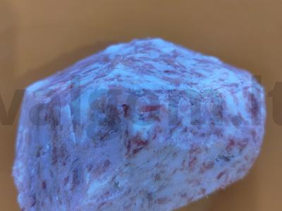 Maži kopūstų suktinukai, kepti orkaitėje Žingsnis 1