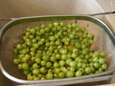 Karališkas agrastų uogienė Žingsnis 1