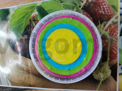 Desertas „Saulės ratas“ Žingsnis 10