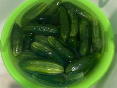 Marinuoti agurkai Žingsnis 1