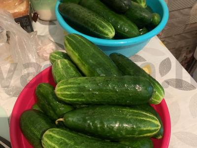 Marinuoti agurkai Žingsnis 2