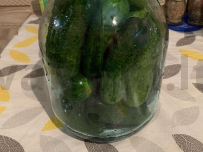 Marinuoti agurkai pagrindine nuotrauka