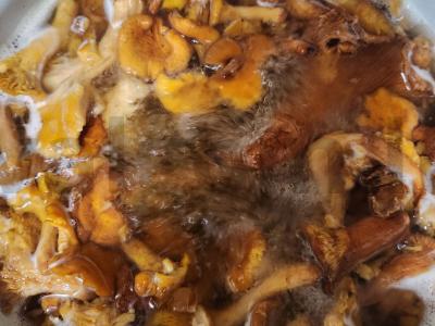 Voveraitės su bulvėmis Žingsnis 1