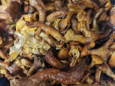 Voveraitės su bulvėmis Žingsnis 5