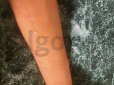 Pupelių sriuba Žingsnis 3