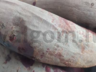 Vinegretas su šalotų svogūnais Žingsnis 1