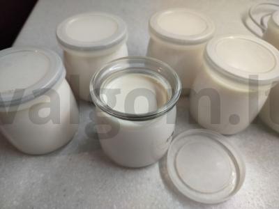 Saldus naminis jogurtas pagrindine nuotrauka