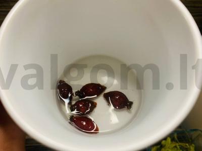 Žolelių vitaminų arbata Žingsnis 1