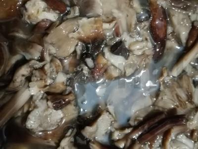 Grybų ikra Žingsnis 1