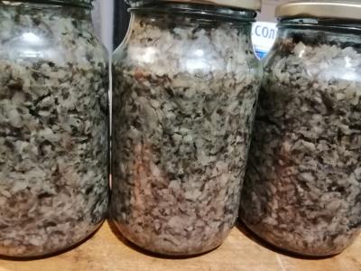 Grybų ikra pagrindine nuotrauka