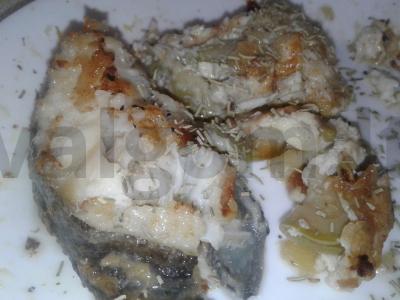 Žuvinė su cukinija ir rozmarinu pagrindine nuotrauka