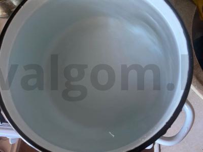 Gazizuotas naminis kompotas iš šaltalankių Žingsnis 1