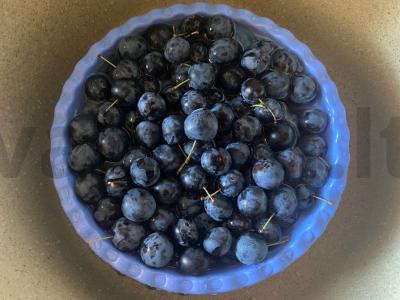 Gazizuotas naminis kompotas iš šaltalankių Žingsnis 5