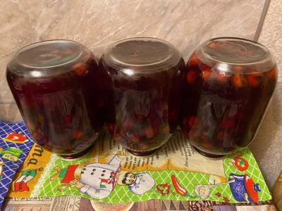 Gazizuotas naminis kompotas iš šaltalankių Žingsnis 10