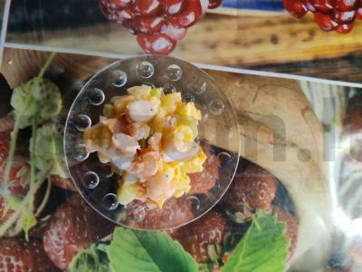 Olivjė su krevetėmis ir šviežiu agurku pagrindine nuotrauka