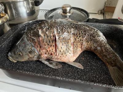 Keptas karpis Žingsnis 1