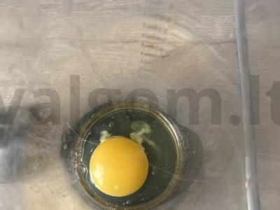 Grietinėlės sriuba su vištienos šlaunelėmis ir vermišeliais Žingsnis 10