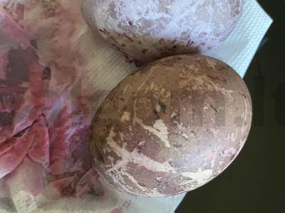 Drakonų velykiniai kiaušiniai Žingsnis 2